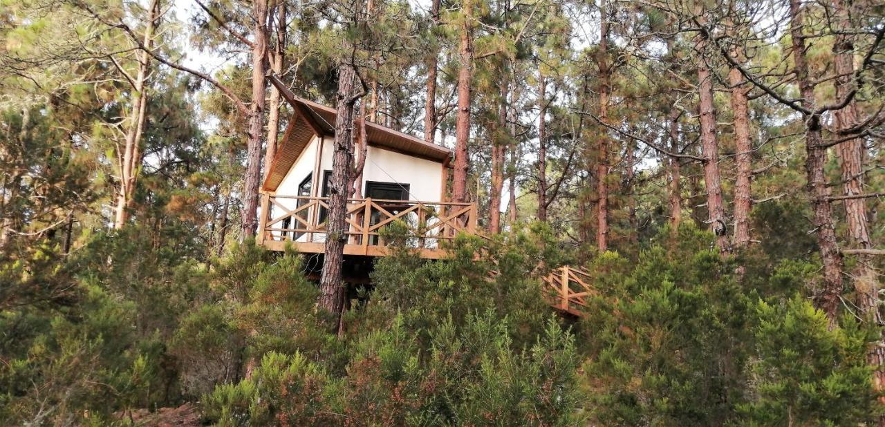 Casita Colgada "Can Lia" La Guancha Екстериор снимка