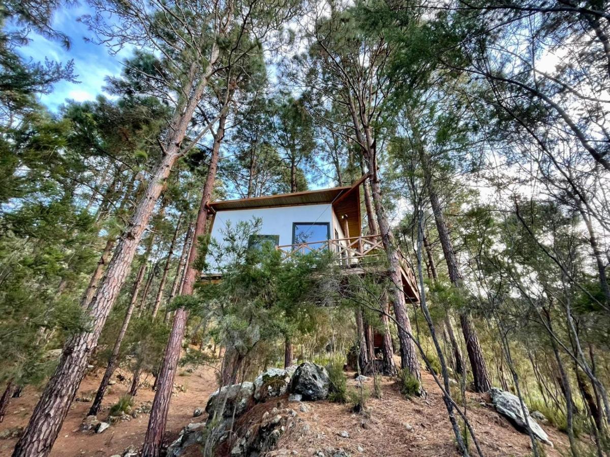 Casita Colgada "Can Lia" La Guancha Екстериор снимка